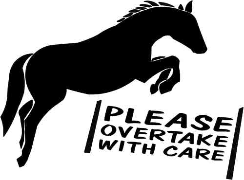 HORSE CAUTION DECAL ANY LETTERING