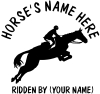 2 x HORSE + RIDER DECALS