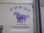 HORSE DECALS FITTED TO A  TRAILER